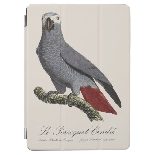 Le Perroquet Cendre _ 19th century illustration  iPad Air Cover