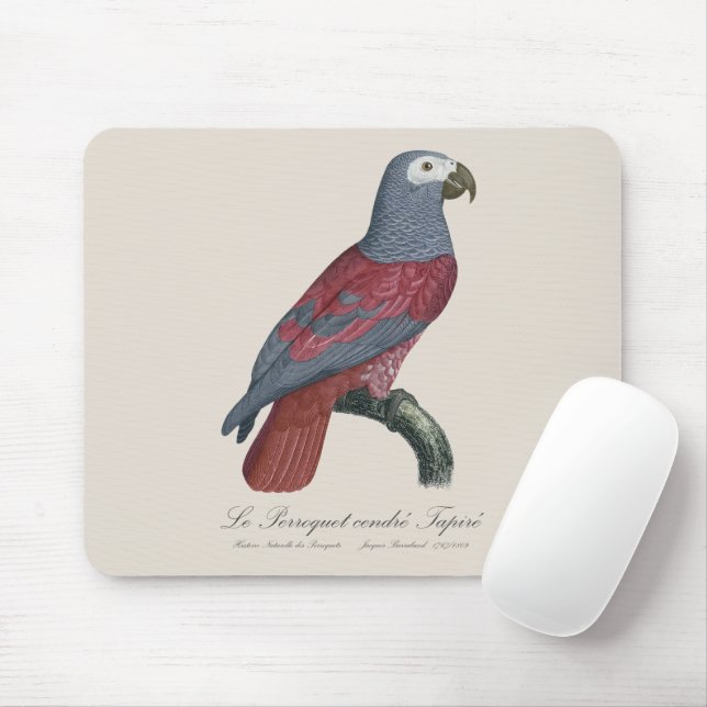 Le Perroquet cendre Tapire  Mouse Pad (With Mouse)