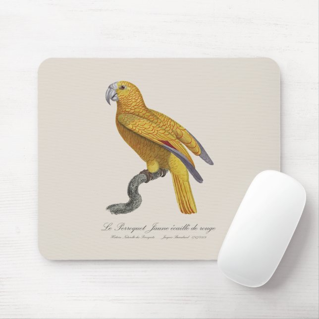 Le Perroquet Jaune ecaille de rouge  Mouse Pad (With Mouse)