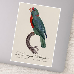 Le Perroquet Langlois by Jacques Barraband Sticker