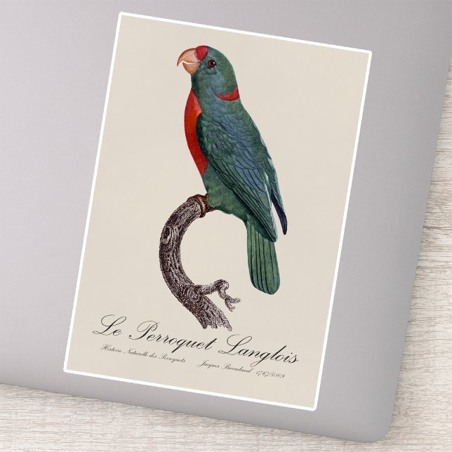 Le Perroquet Langlois by Jacques Barraband Sticker (Le Perroquet Langlois by Jacques Barraband. Sticker)