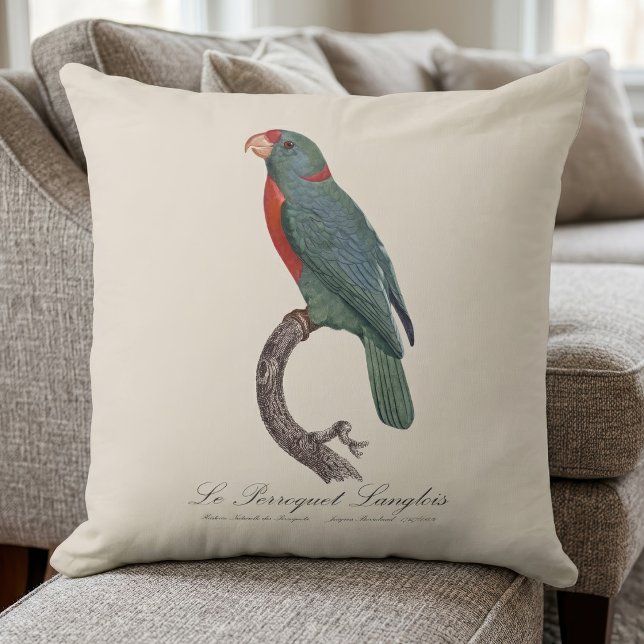 Le Perroquet Langlois by Jacques Barraband Throw Pillow (Le Perroquet Langlois by Jacques Barraband. Throw Pillow)