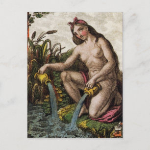 Le Stelle Postcard