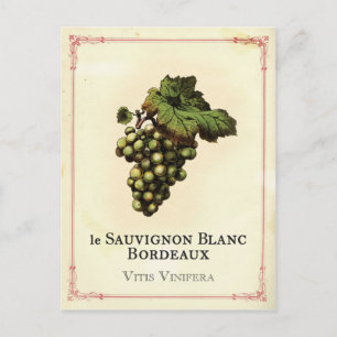 Le Vin Blanc Postcard
