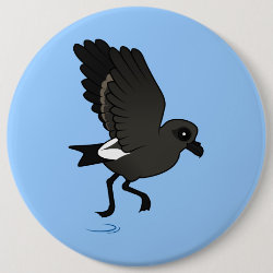 Leach's Storm Petrel (flutter) Round Button