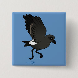 Leach's Storm Petrel (flutter) Square Button