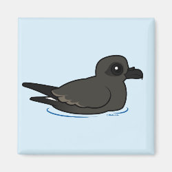 Leach's Storm Petrel (swim) Square Magnet