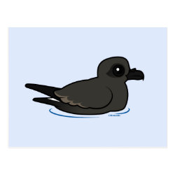 Leach's Storm Petrel (swim) Postcard
