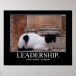 Leadership Cat Artwork Poster at Zazzle