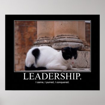 Leadership Cat Artwork Poster by artisticcats at Zazzle