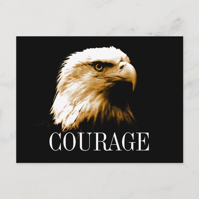 Leadership Courage Fearless Bald Eagle Postcards (Front)