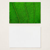 Leaf (Front & Back)