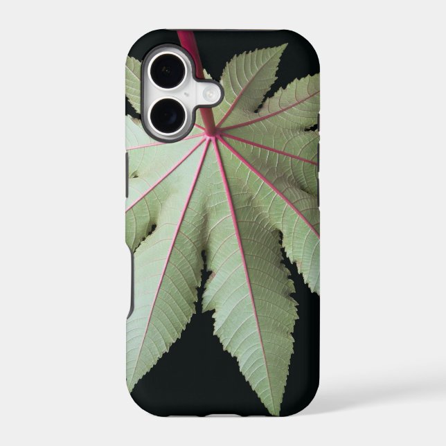 Leaf and Stem Iphone Case (Back)