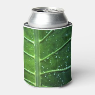Leaf and Water Droplets Can Cooler