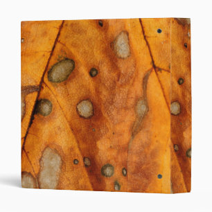 Leaf binder