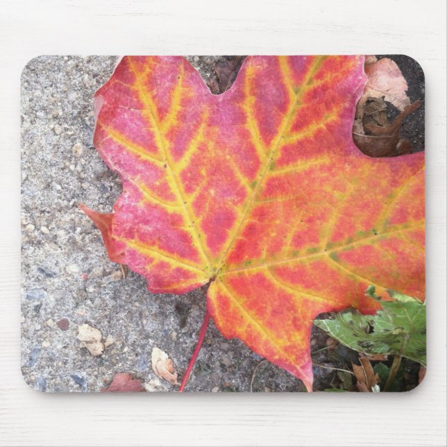Leaf Bliss Mousepad (Front)