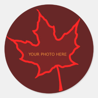 Leaf Border Classic Round Sticker