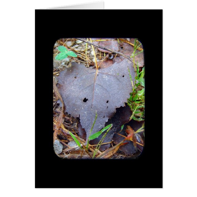 Leaf Cards (Front)