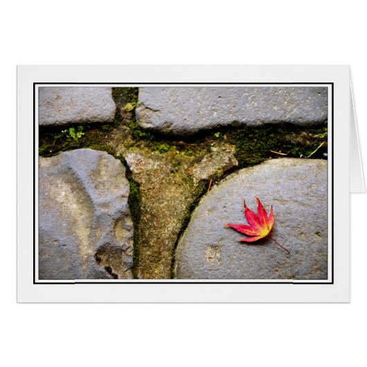 Leaf Cards (Front Horizontal)