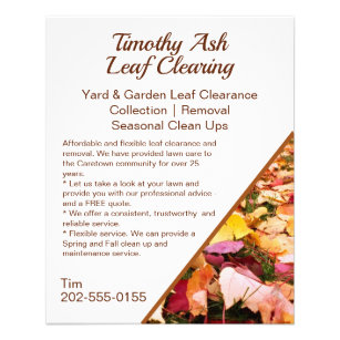 Leaf Clearing Clean Up Removal Promotional Flyer
