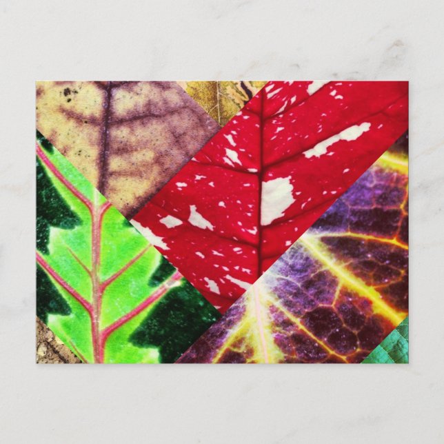 Leaf Collage Postcard (Front)