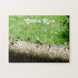 Leaf Cutter Ants in Costa Rica Jigsaw Puzzle