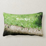 Leaf Cutter Ants in Costa Rica Lumbar Pillow Leaf Cutter Ants in Costa Rica Lumbar Pillow