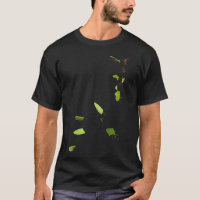 Leaf Cutter Ants
