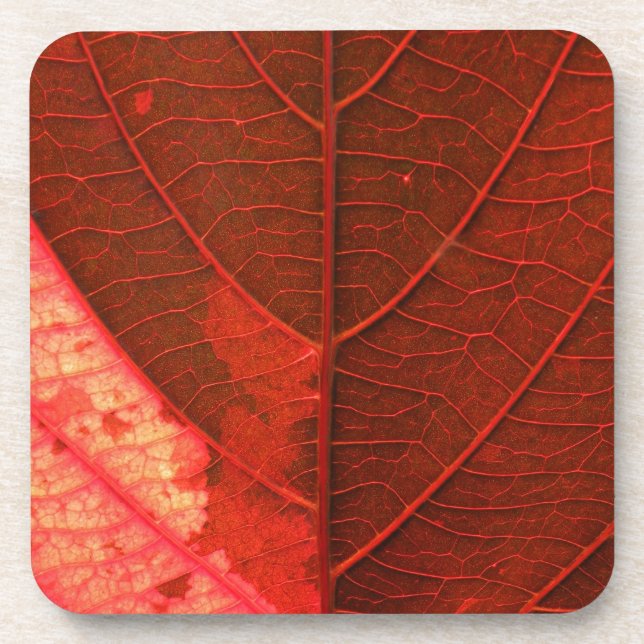 Leaf Drink Coaster (Front)