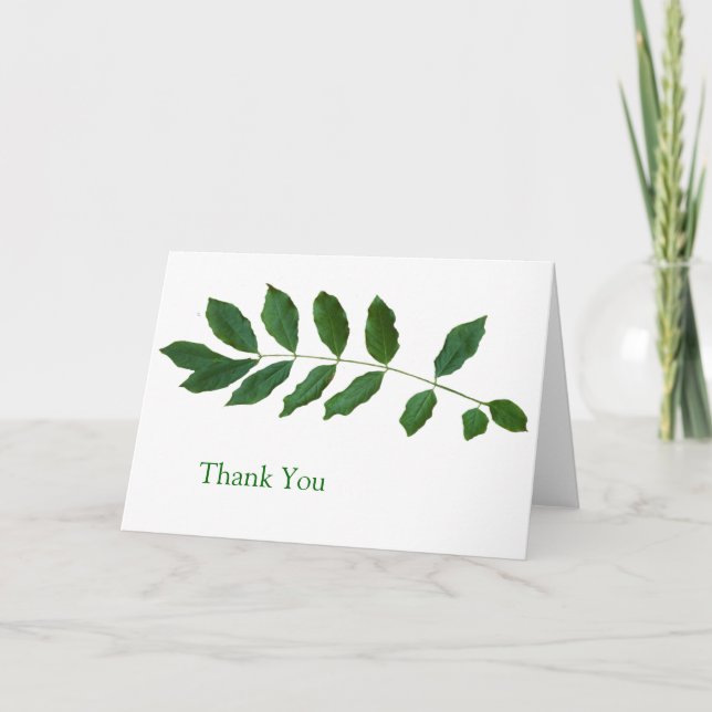 Leaf Fern Nature Thank You Card (Front)