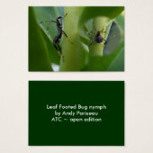 Leaf Footed Bug ~ ATC (Front & Back)