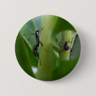 Leaf Footed Bug ~ button