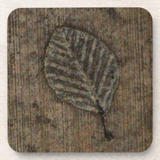 Leaf Fossil Coaster