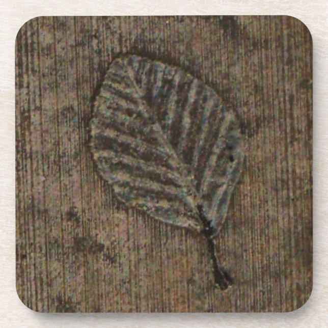 Leaf Fossil Coaster (Front)