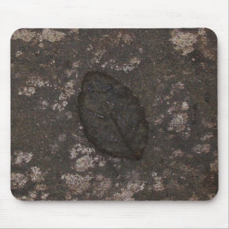 Leaf fossil mouse pad
