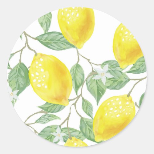 leaf_green_yellow_lemon_fruit classic round sticker