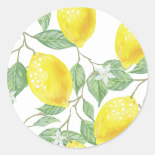 leaf-green-yellow-lemon-fruit classic round sticker