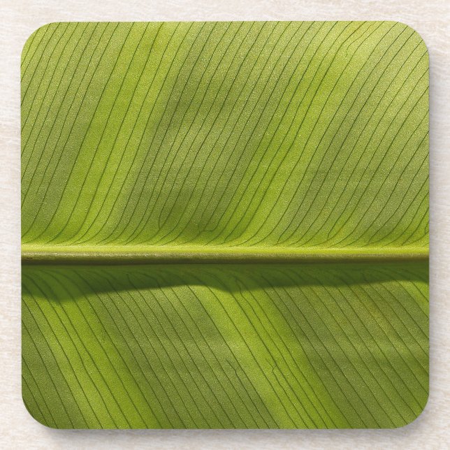leaf it beverage coaster (Front)