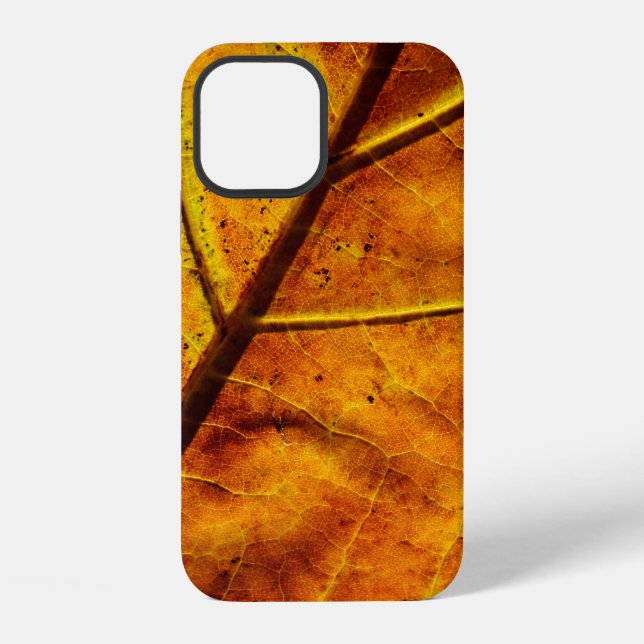 Leaf leaf veins fall texture iphone case (Back)