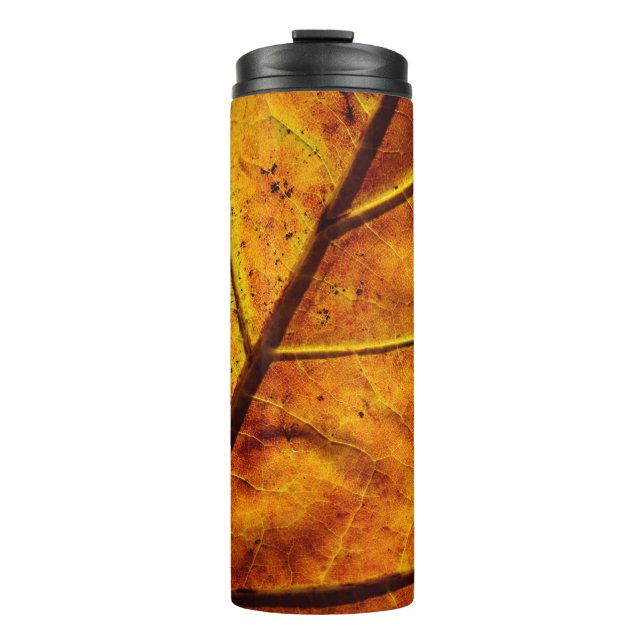 Leaf leaf veins fall texture thermal tumbler (Front)