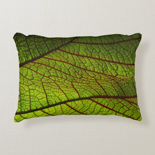 Leaf macro veins leaf veins green accent pillow (Front)