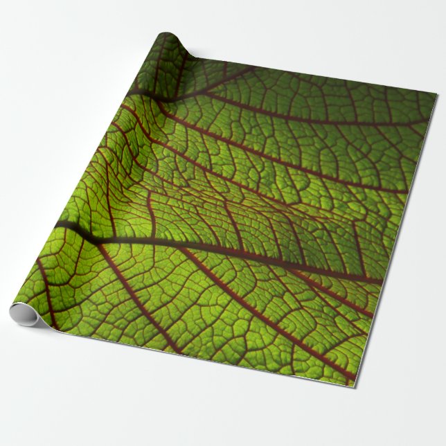 Leaf macro veins veins green wrapping paper (Unrolled)