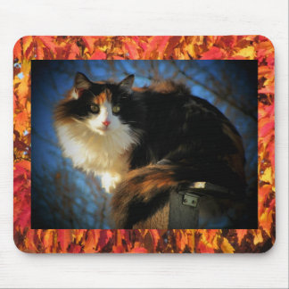 Leaf me alone Autumn Calico Mouse Pad