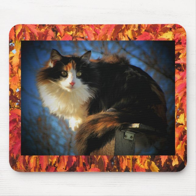 Leaf me alone Autumn Calico Mouse Pad (Front)