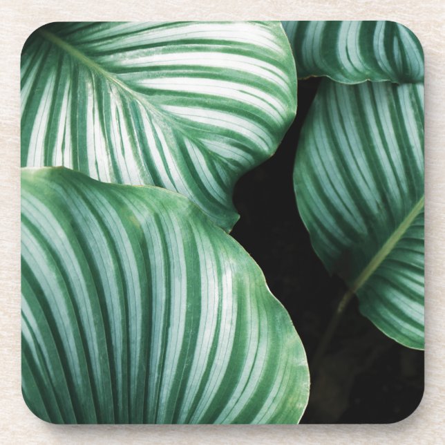 leaf me alone beverage coaster (Front)
