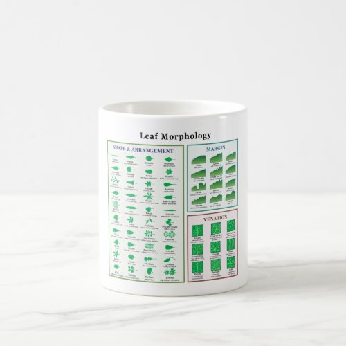 Leaf Morphology Chart Coffee Mug