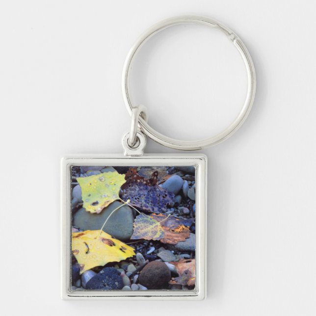 Leaf of Fremont cottonwood on flood plain Keychain (Front)