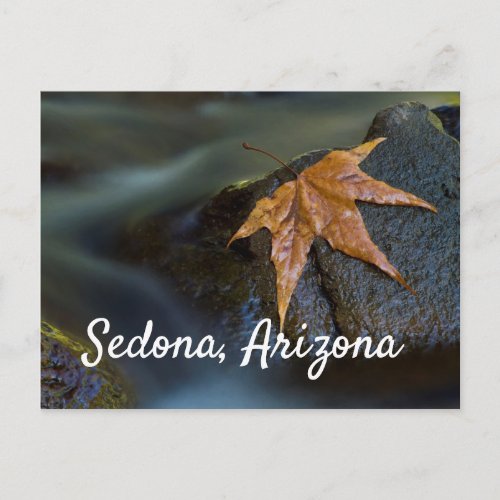 Leaf of Gold in Sedona Arizona Postcard