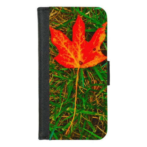 Leaf on the Grass iPhone 87 Wallet Case