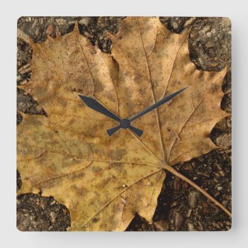 Leaf On The Road Wall Clock by GetArtFACTORY at Zazzle
